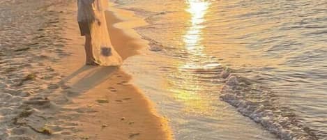 Escena de playa con un atardecer, una pareja caminando por la orilla y un edificio al fondo.