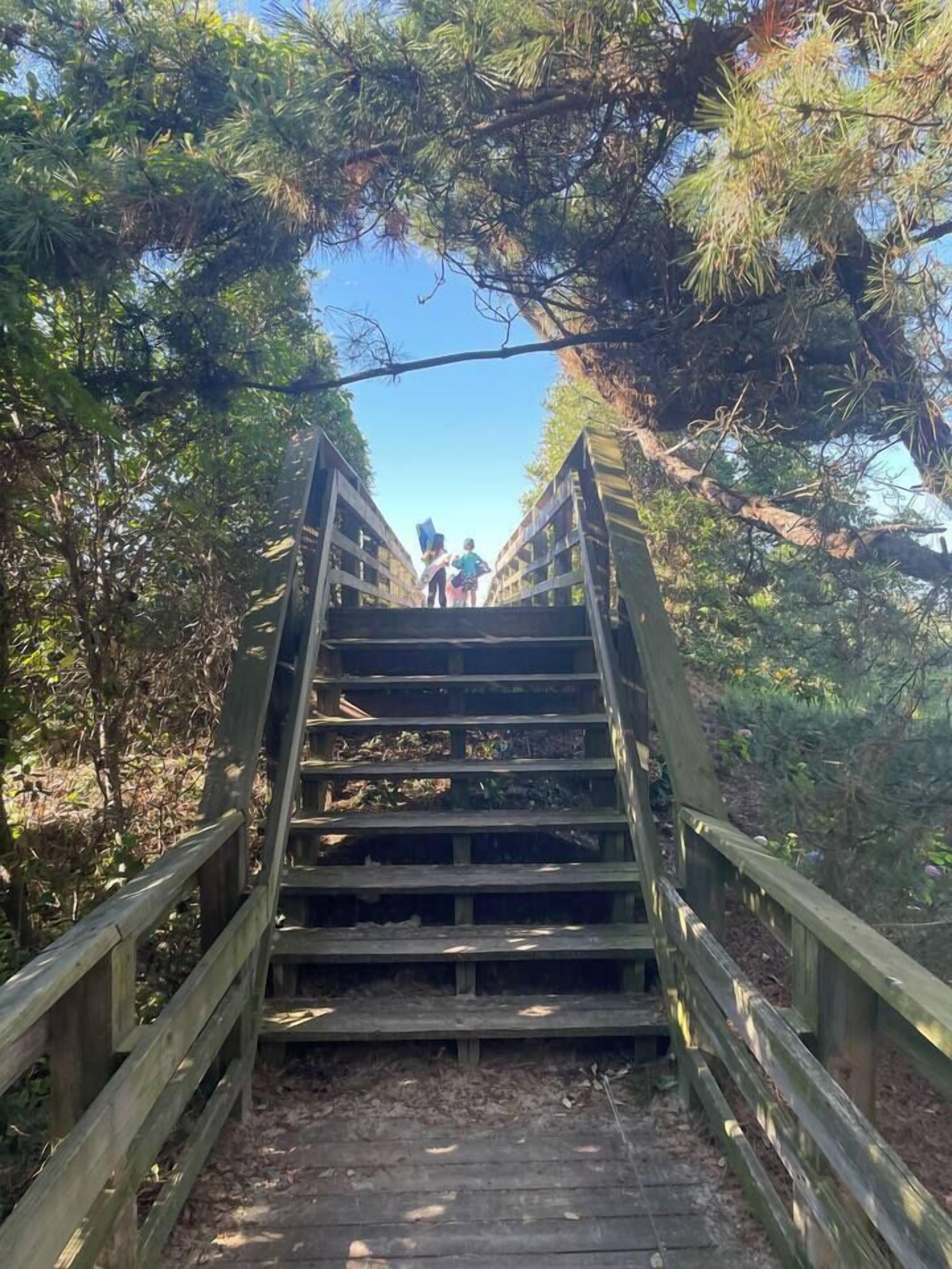 Una escalera de madera que sube hacia un edificio rodeado de árboles.