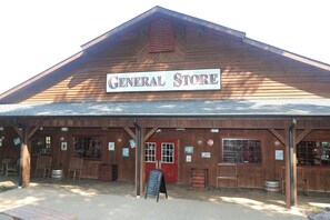 A wooden building with a sign reading 'General Store.'