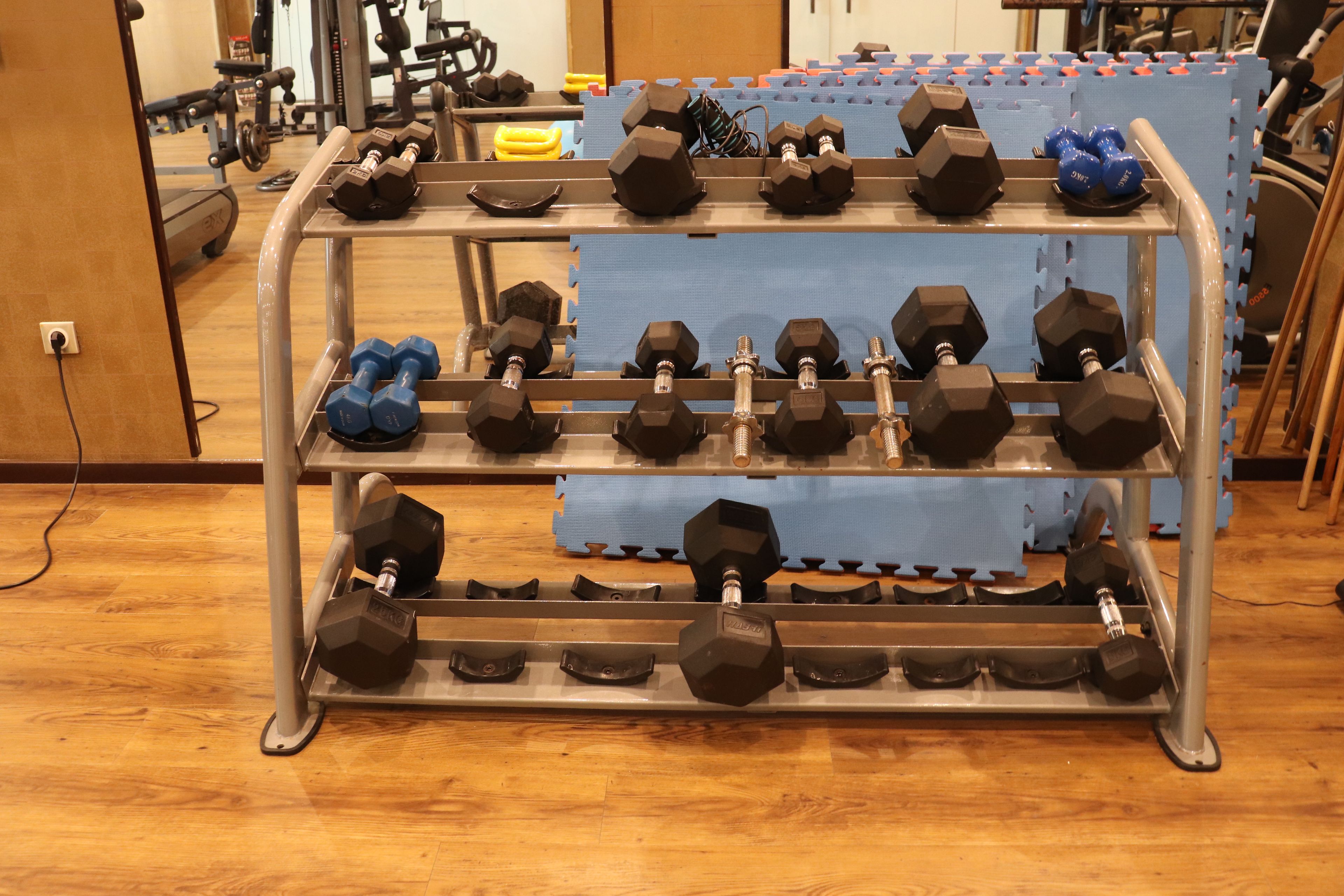 A metal rack with multiple shelves holding various weights and dumbbells.