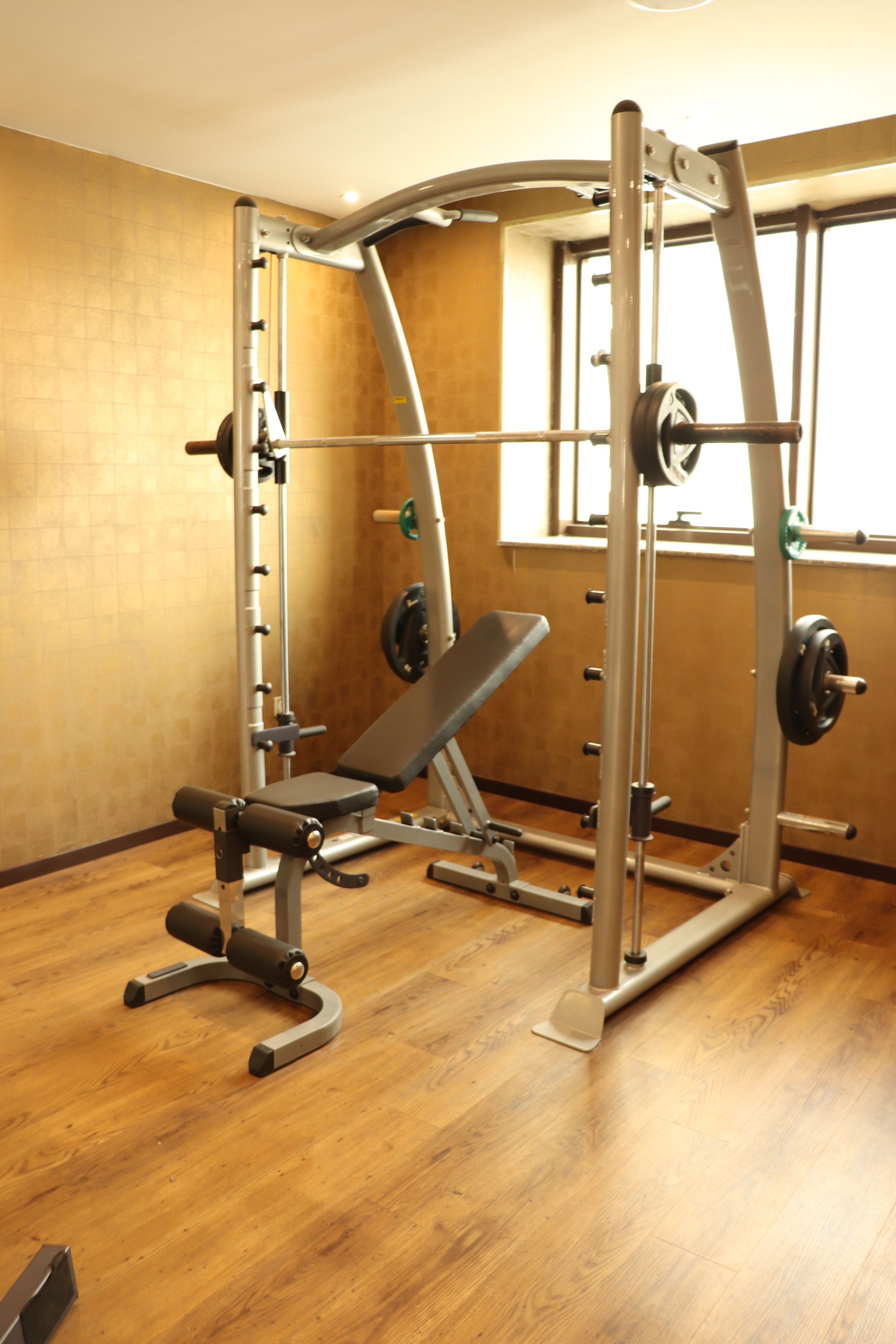 Un gimnasio con banco de pesas, jaula para sentadillas y barra.