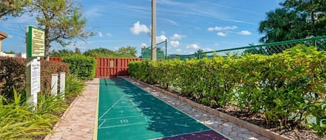 A green shuffleboard court with a red and purple area, surrounded by greenery and a fence.