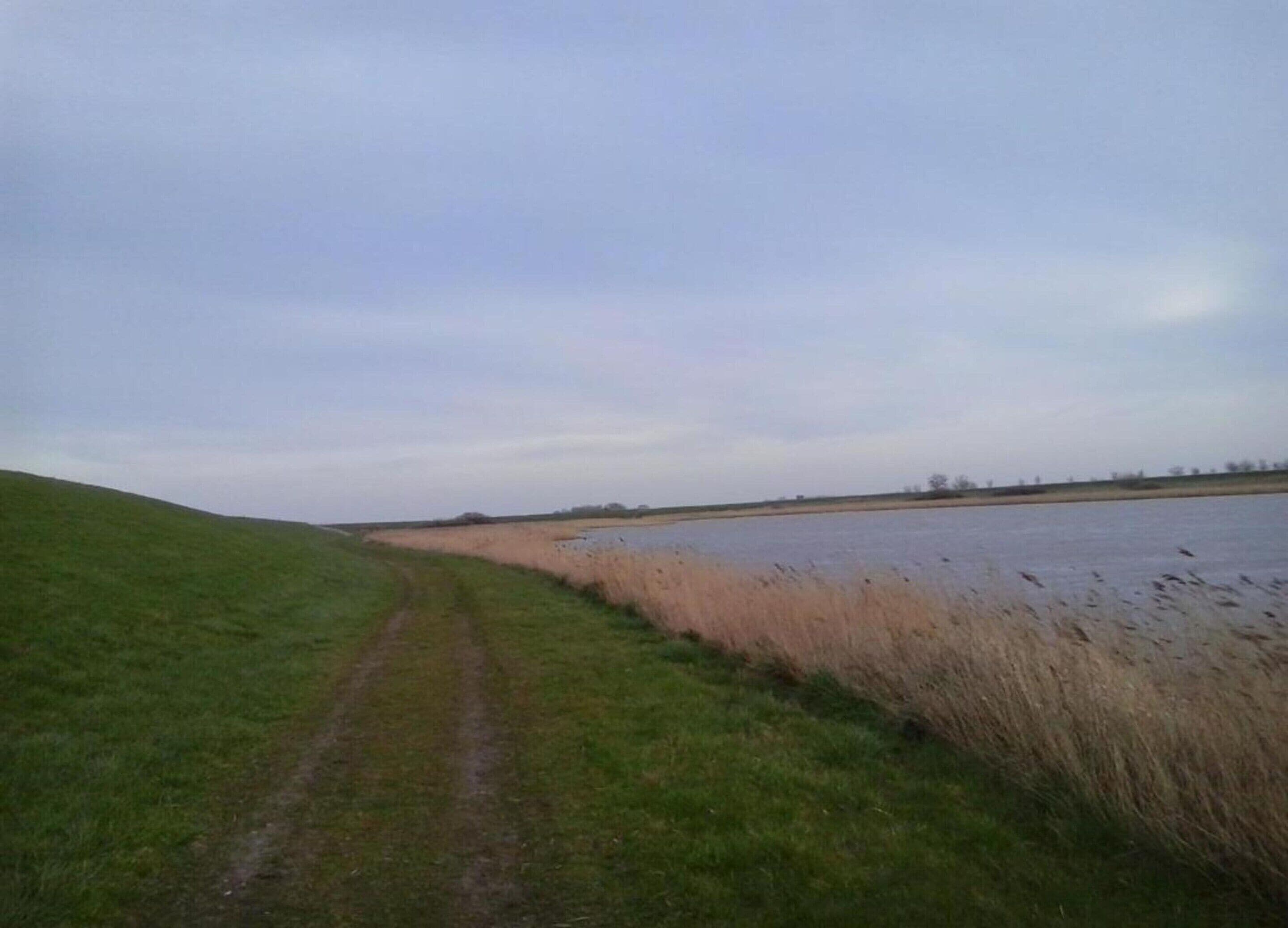 A rural landscape with a grassy field, a muddy path, and a body of water.