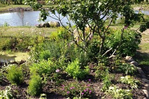 A garden with various plants and a pond. - Holiday home with 4 bedrooms (Barderup-Oeversee)