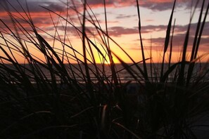 A sunset with silhouettes of grass in the foreground. - Holiday apartment with 3 bedrooms (Wittdün)