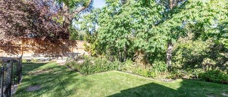A well-maintained backyard with a lawn, a wooden fence, and a variety of trees.
