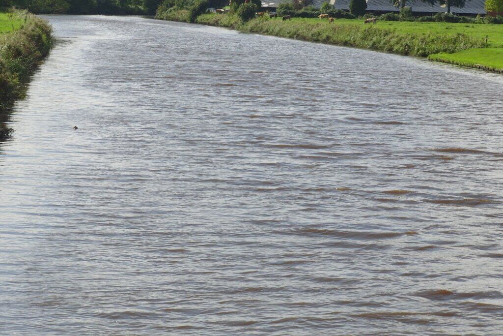 Ein Fluss mit ruhigem Wasser, umgeben von viel Grün und Gebäuden in der Ferne.