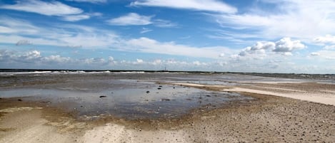 A beach with wet sand and a clear sky.