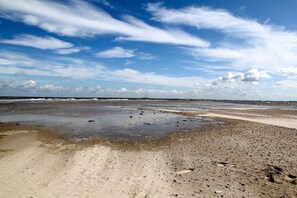 Ein Strand mit feuchtem Sand und blauem Himmel.