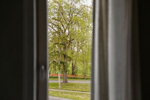 Blick durch ein Fenster auf eine von Bäumen gesäumte Straße und ein rotes Blumenbeet.