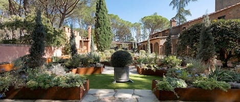 Un patio con senderos de piedra, plantas en macetas y un árbol en el centro.