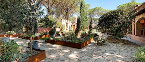 A courtyard with stone paving, various plants, and a brick building.