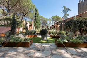 Un patio con senderos de piedra, plantas en macetas y un árbol en el centro.