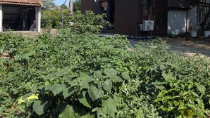A traditional half-timbered house with a modern extension, surrounded by a vegetable garden. - Detached studio apartment with a garden, air conditioning, and a garage (Gries)