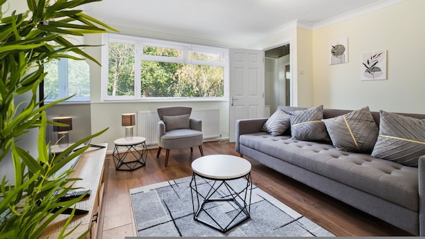 Ein modernes Wohnzimmer mit einem grauen Sofa, einem runden Couchtisch und einem Sessel. Zwei Fenster mit Jalousien, eine Heizung und eine Pflanze in der Ecke.