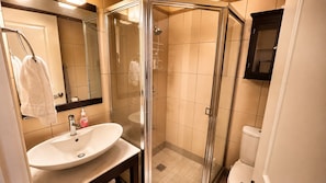 Een badkamer met een douchecabine, een wastafel met spiegel en een toilet.