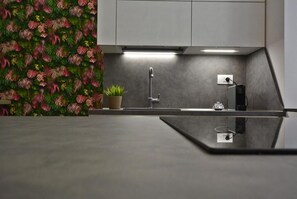 A modern kitchen with a grey countertop, a stainless steel sink, and a potted plant. - Milano Apartments Lombardini (Milano)