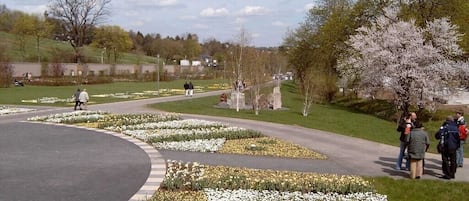 Un área ajardinada con un sendero curvo, macizos de flores y un árbol con flores blancas.