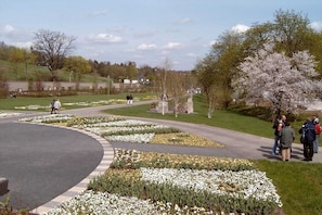 A landscaped area with a curved pathway, flower beds, and a tree with white blossoms. - Holiday apartment with 1 bedroom (Edertal Kleinern)