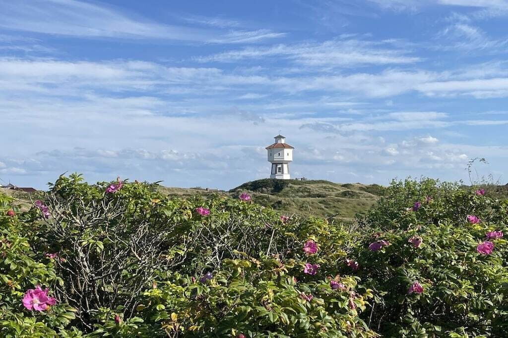 Un faro en una colina rodeado de vegetación y flores.