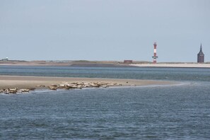 A coastal scene with a lighthouse, a church spire, and a sandy beach. - Holiday apartment Lighthouse view (Wangerooge)