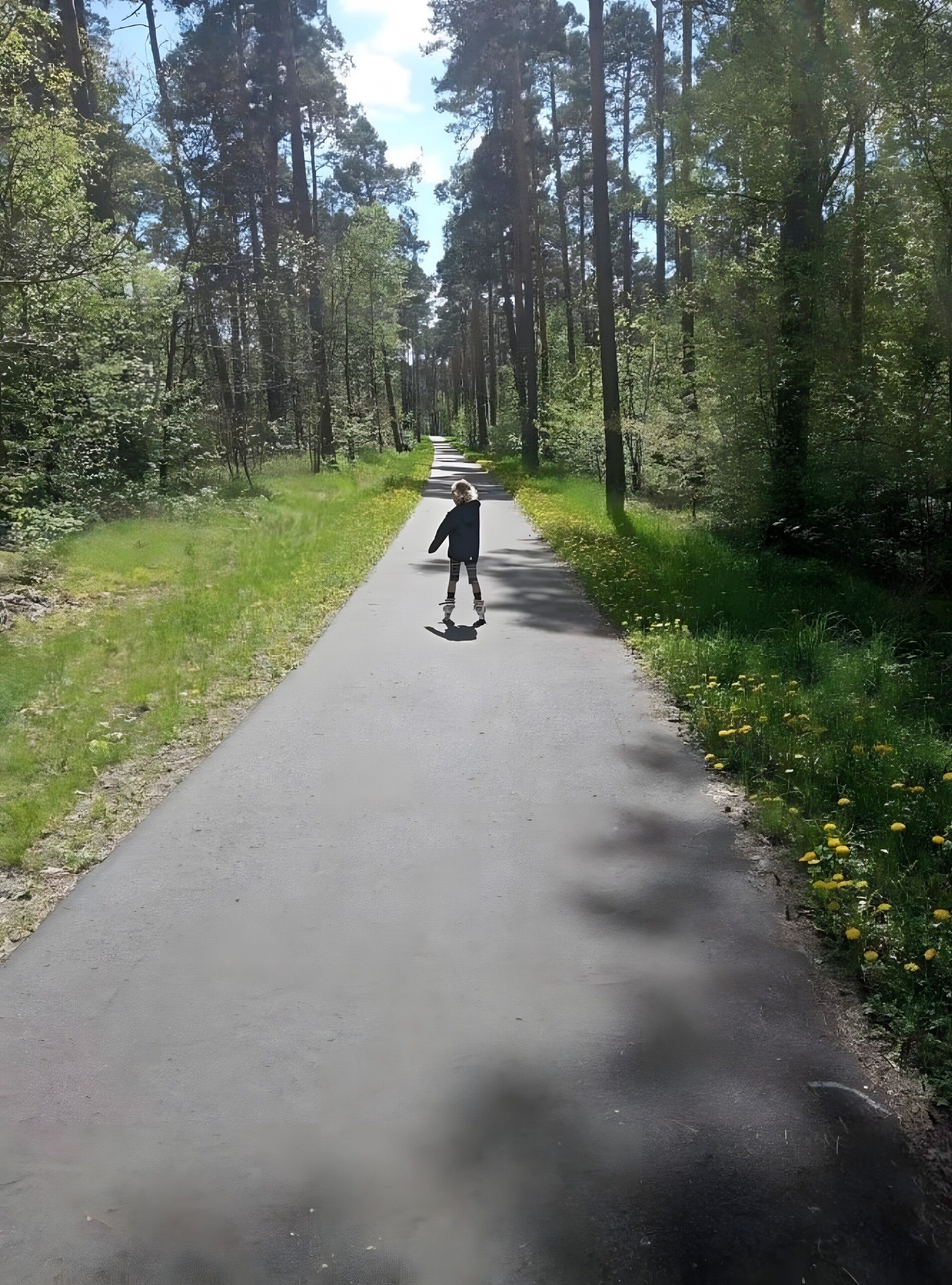 Un sentier pavé traverse une forêt bordée de grands arbres des deux côtés.