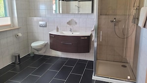 A bathroom with a toilet, a sink with a mirror, and a shower enclosure.