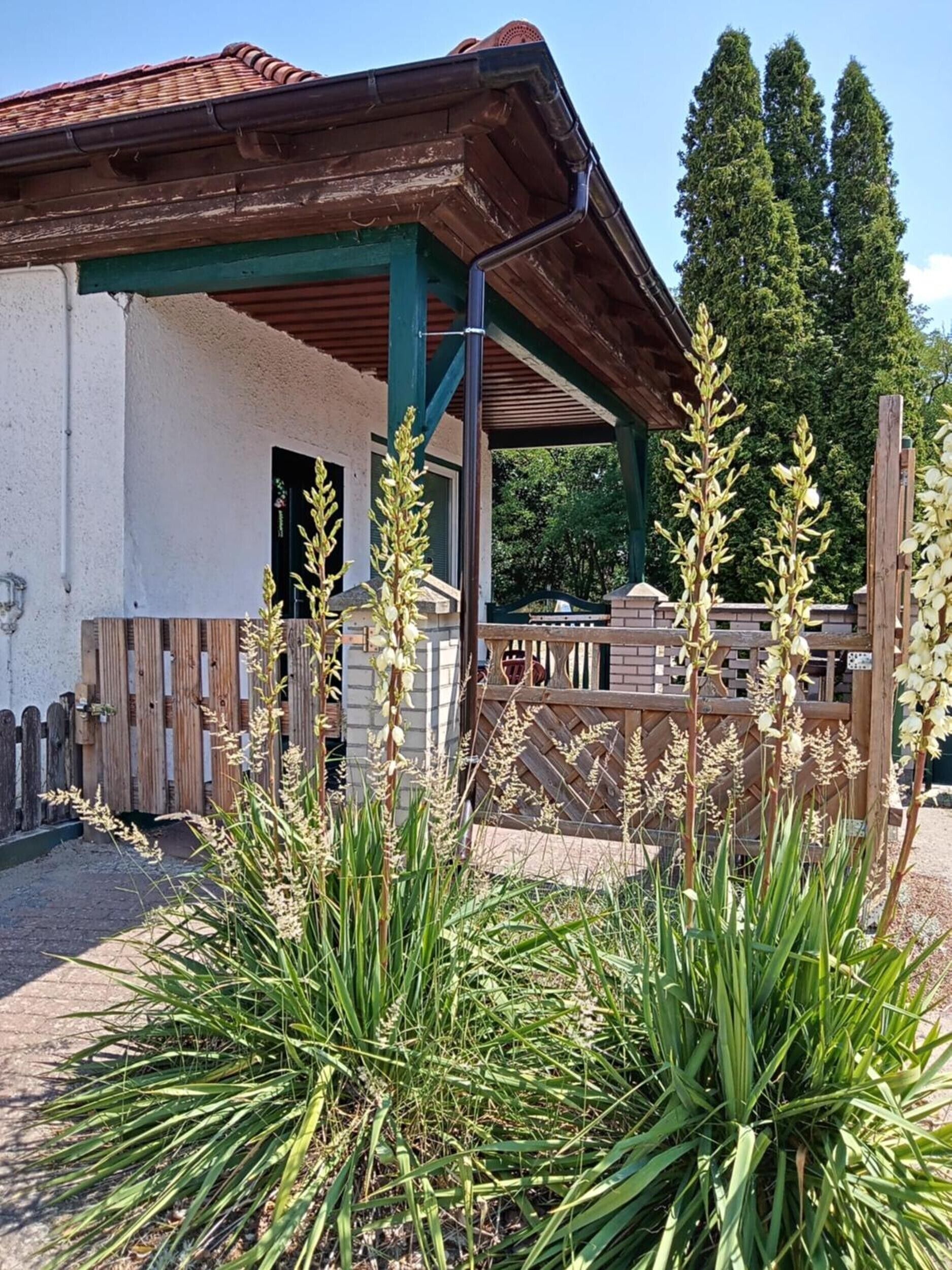 Un bâtiment doté d’un toit en bois et d’une structure de soutien verte.