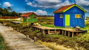 En träpromenad som leder till färgglada trähus, med en grönskande omgivning och en klar himmel.