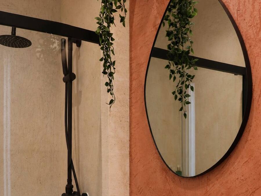 A bathroom with a round stone sink, a black faucet, a handheld showerhead, and a mirror with a plant hanging above it.