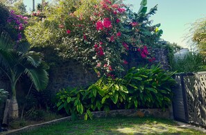 Een tuin met diverse planten en bloemen, een stenen muur en een metalen hek.