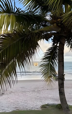 A beach with a palm tree and a bench. - Apto 2 Qtos I Suíte I Lazer completo (Cabedelo)