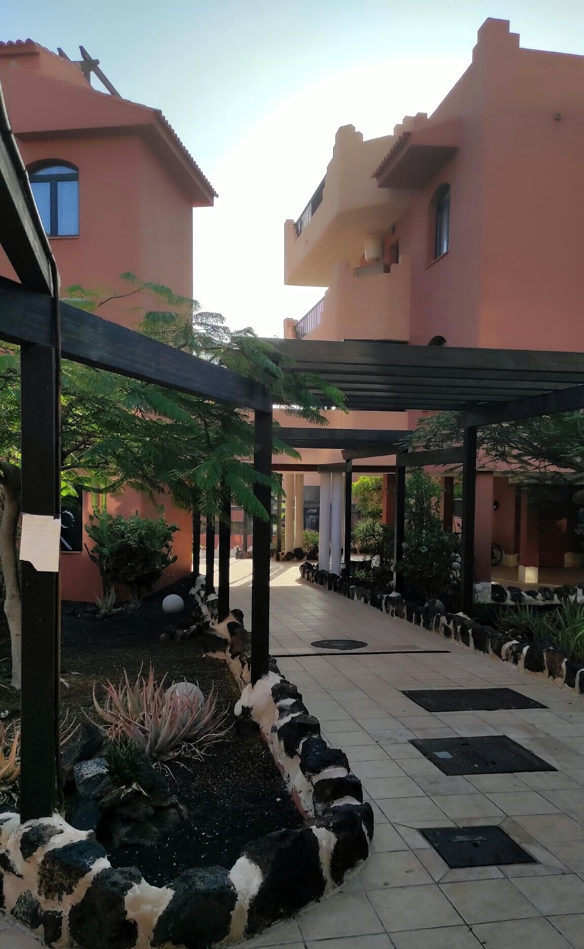Un patio con una pérgola, plantas en macetas y un sendero empavedado.
