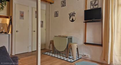 Right at the foot of the slopes! Ax 3 Domaines: Cozy, well-designed studio: Sleeps 4