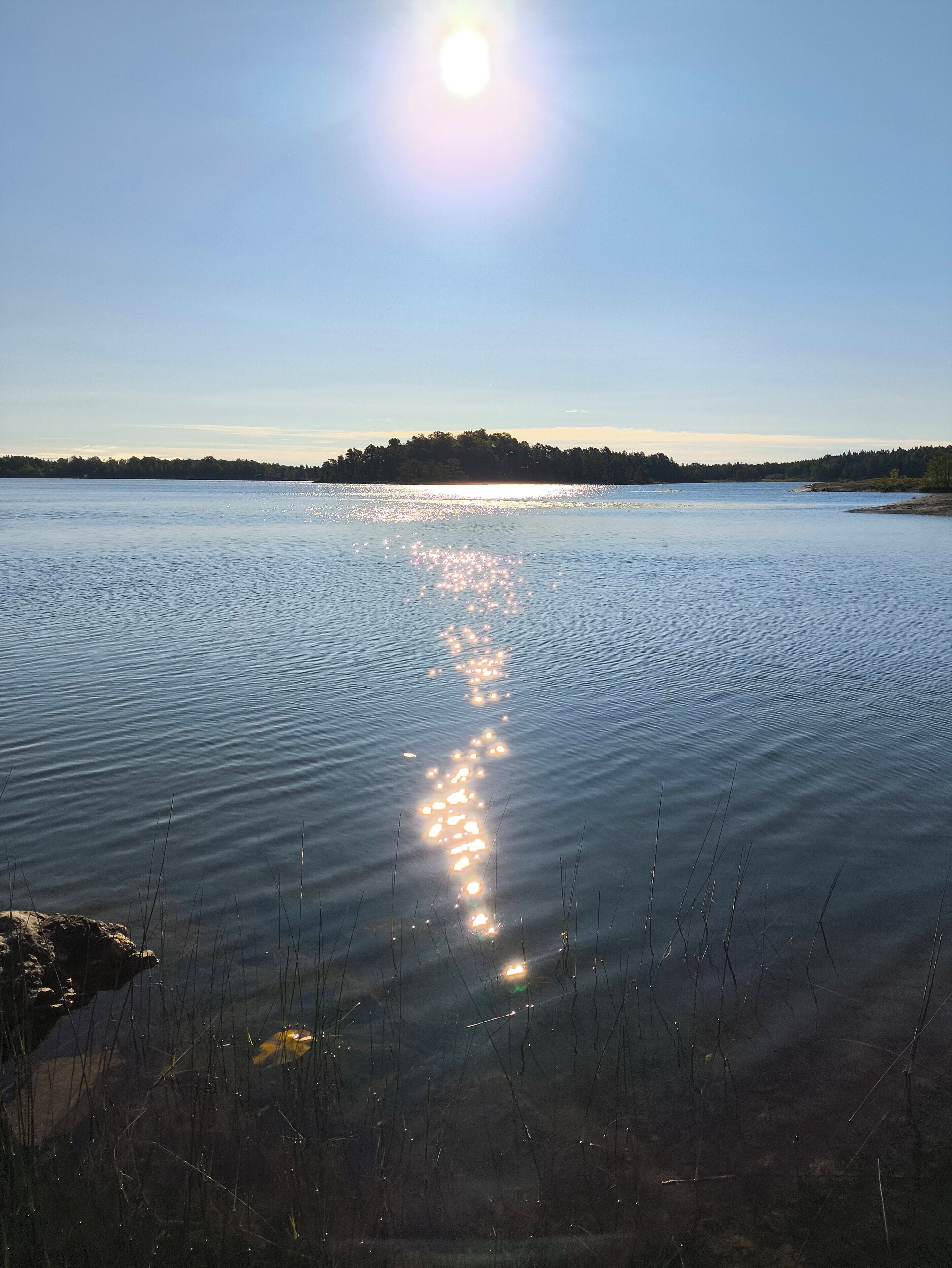 A calm lake with sunlight reflecting on the water, surrounded by a forested shoreline.