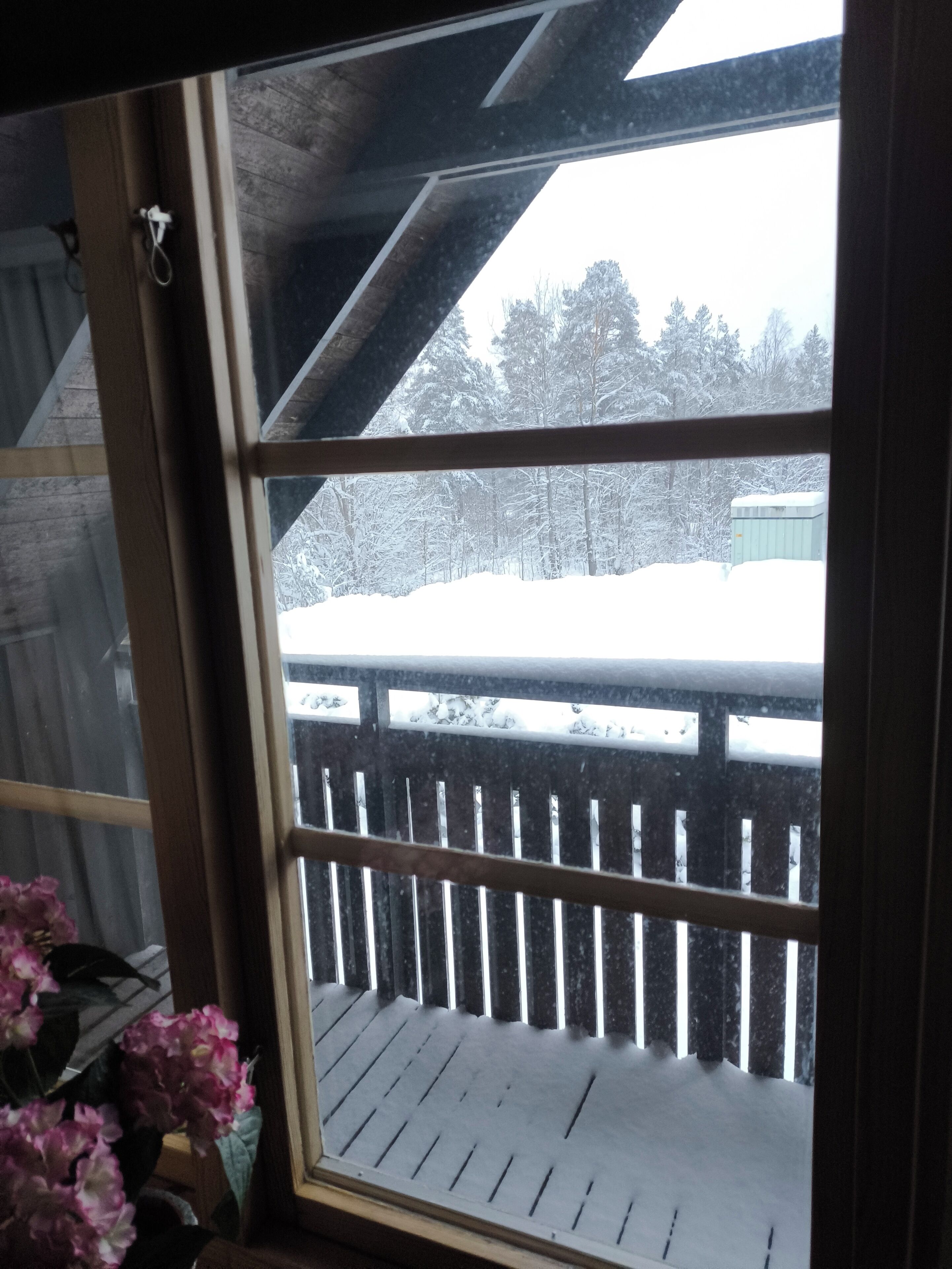 A window with a view of a snowy deck and trees.