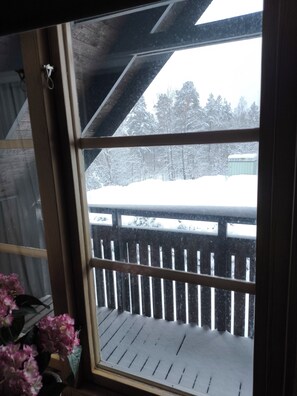 A window with a view of a snowy deck and trees.