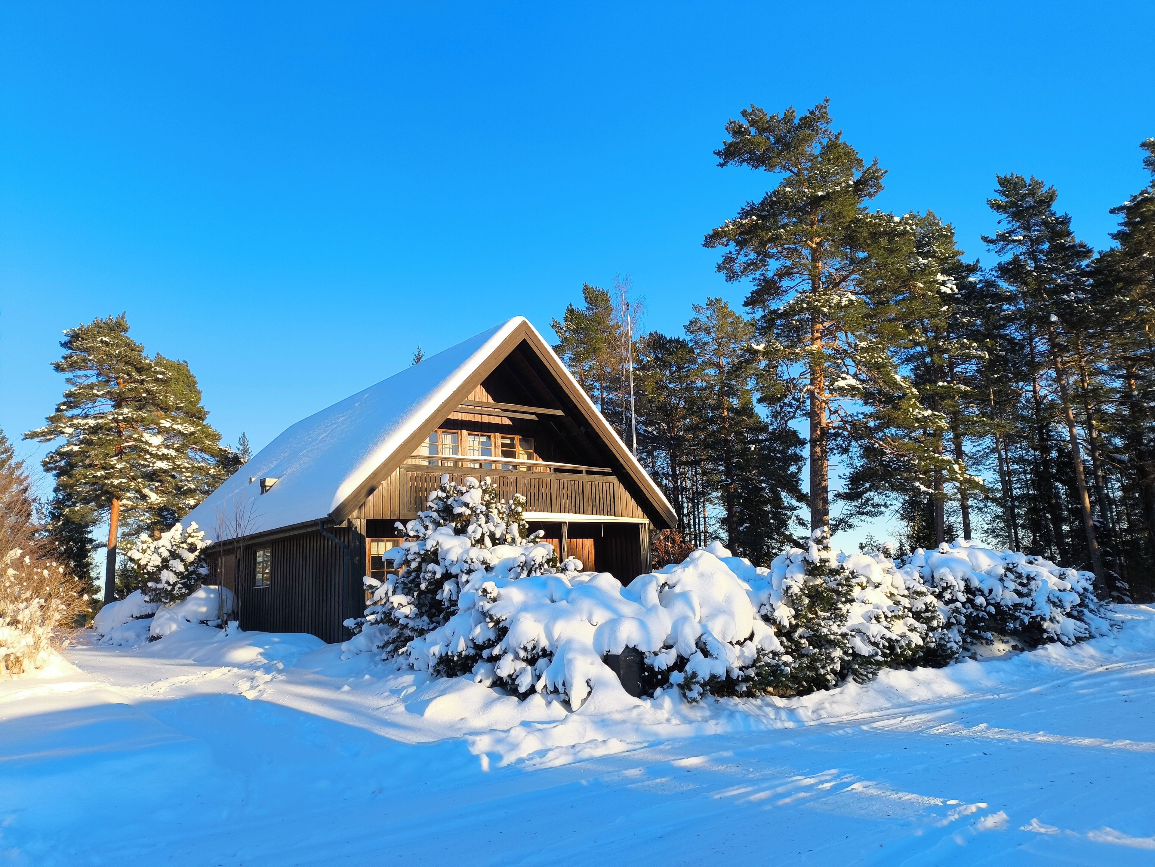 Een chalet met een schuin dak, omgeven door met sneeuw bedekte bomen.