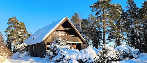 A cabin with a sloped roof surrounded by snow-covered trees.