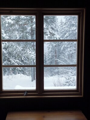 A window with a view of a snowy landscape.