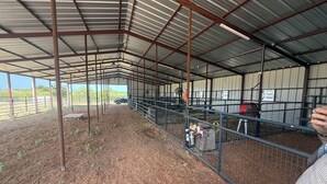 A covered indoor area with metal railings, a dirt floor, and a metal roof structure.