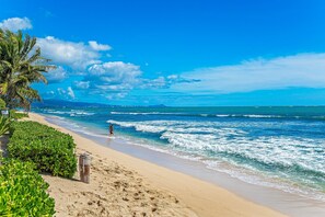 Una playa con aguas azules cristalinas, una orilla arenosa y una palmera.