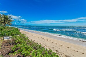 Una playa con agua azul cristalina, orilla de arena y vegetación verde.