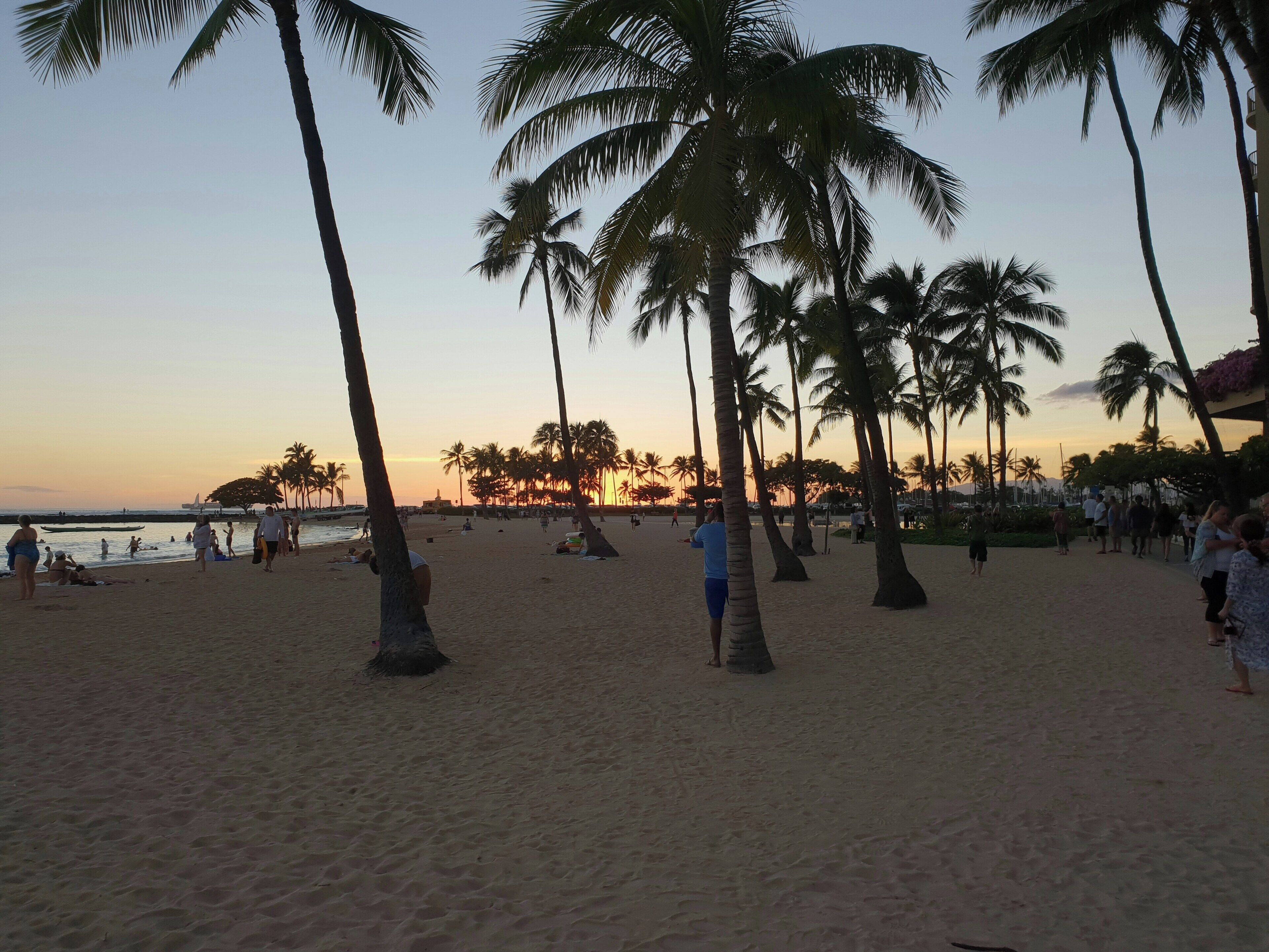 Een strand met palmbomen en mensen.