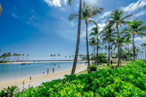Ein Strand mit Palmen, blauem Himmel und ruhigem Meer.