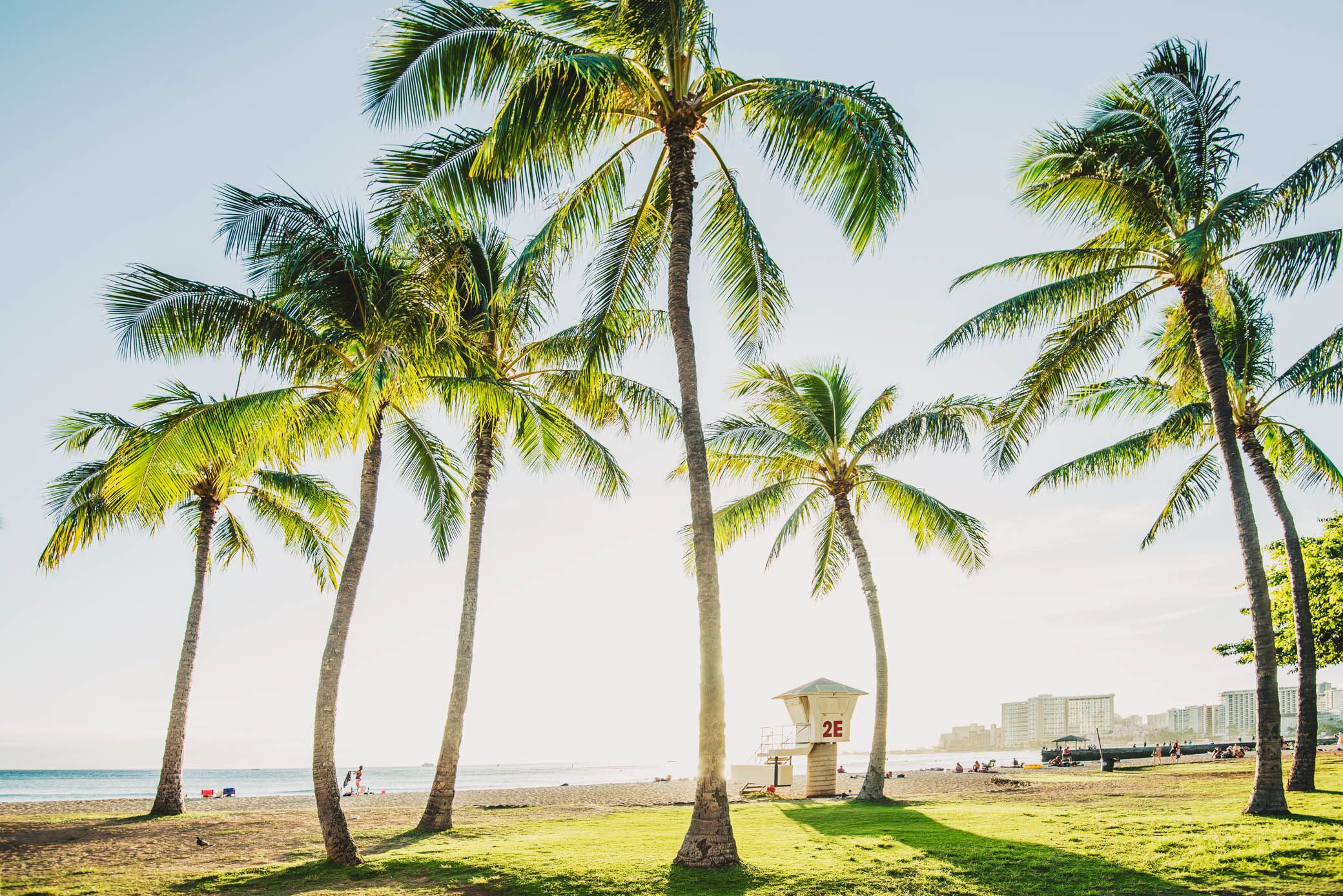 A beach with palm trees, a lifeguard tower, and a cityscape in the background.