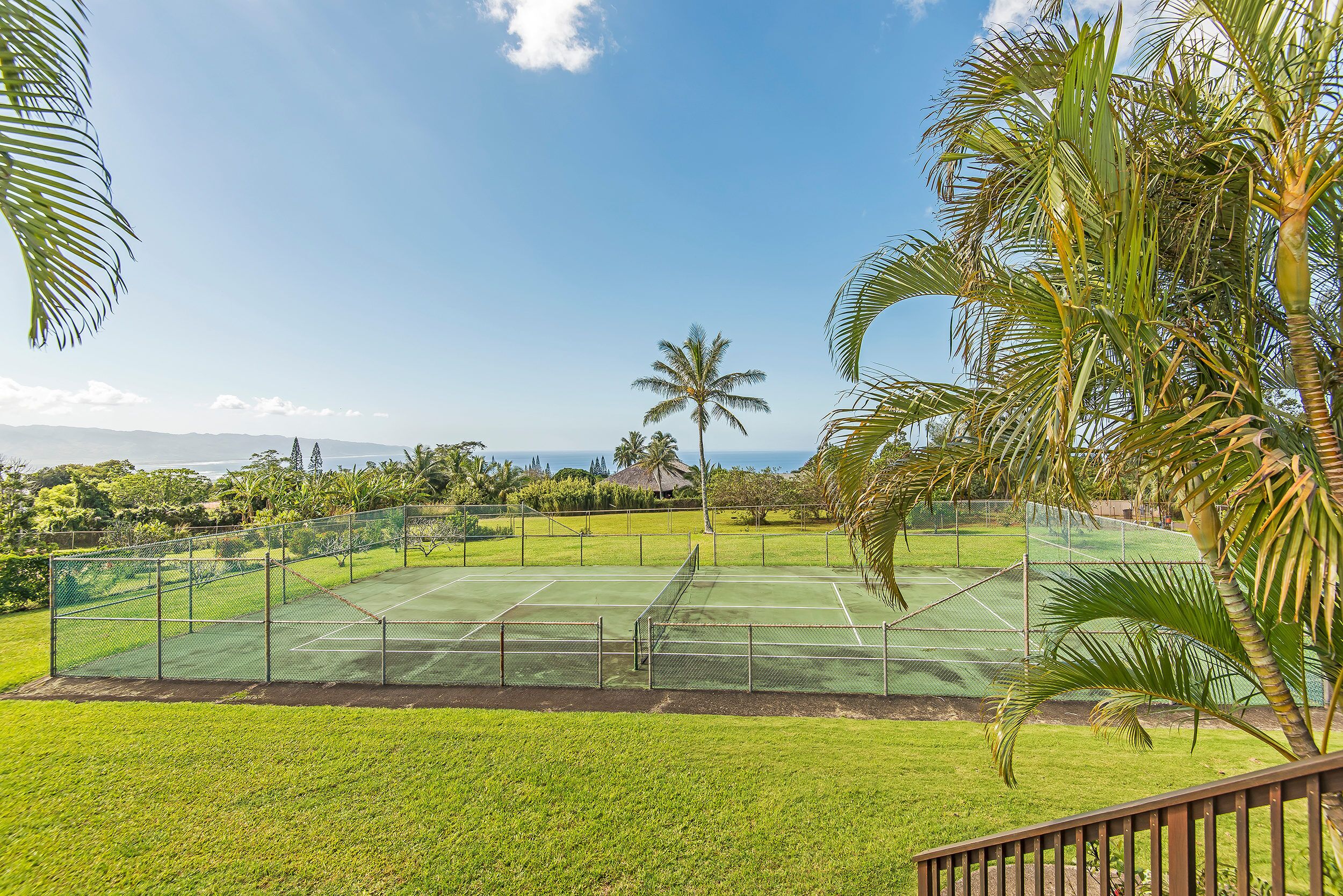 A tennis court surrounded by lush greenery and palm trees.