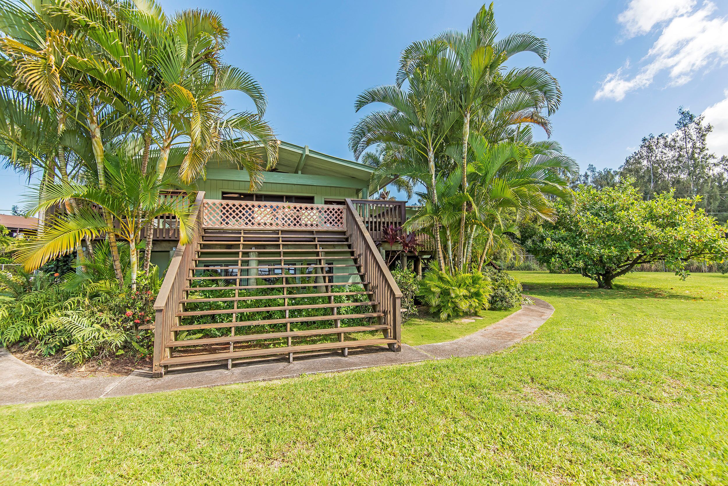 A wooden staircase leading to a building with a green roof, surrounded by lush greenery and palm trees.