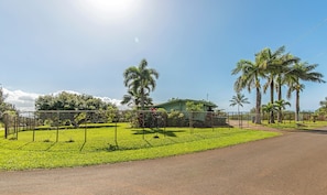Área externa cercada com um caminho pavimentado, palmeiras e um edifício com telhado verde.