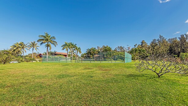 Um campo gramado com palmeiras e uma área cercada.